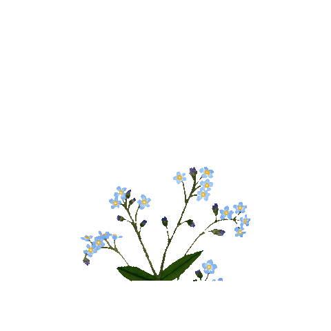 Happy Forget Me Not Sticker by Caroline Spence
