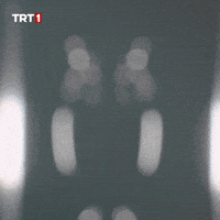 Euro 2024 Win GIF by TRT