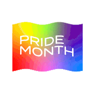 Pride Lgbt Sticker by Vevo
