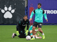 Rcde GIF by RCD Espanyol de Barcelona