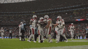 Nfl Football GIF by New England Patriots