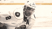 NLGrowlers echl stand proud growlers nlgrowlers GIF