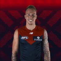 melbourne football club good job GIF by Melbournefc