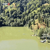 See Fresh Air GIF by TRT