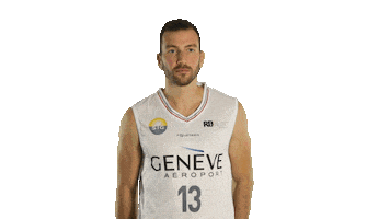 Basketball Ball Sticker by Lions de Genève