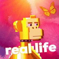 Real Life Butterfly GIF by The LSD Hotel