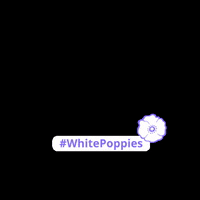 PeacePledgeUnion peace remembrance pacifism remembrance sunday GIF