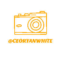 Photography Photo Sticker by Ryan White