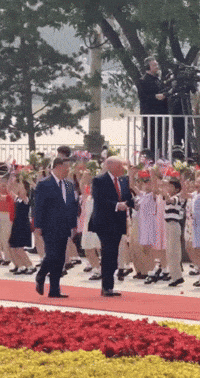 Trump Chine GIF by systaime