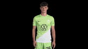 Bundesliga No GIF by VfL Wolfsburg