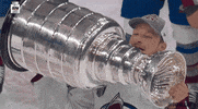 Stanley Cup Sport GIF by NHL
