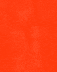 animation art GIF by Isabella Carapella