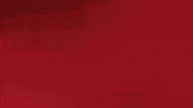 Come On GIF by Bundesliga