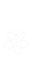 花 Cherry Blossom Sticker