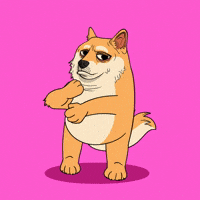 Dance Moves Dancing Dog GIF by Doge Pound