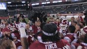 GIF by Temple Owls