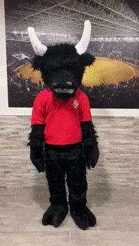 ATSUERTEYALTORO toro toledo pregunta milagrito GIF