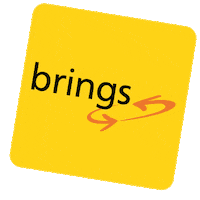 brings_ag logo shake recycling waste Sticker