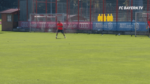shoot ribery GIF by FC Bayern Munich
