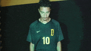 College Athletics GIF by USAO Drovers