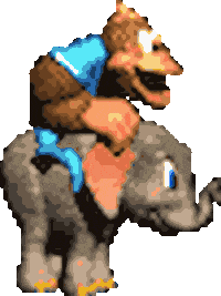 Donkey Kong Dkc Sticker
