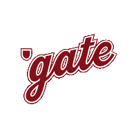 Colgateraiders Sticker by Colgate Athletics