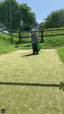 Cricket-Loving Toddler Shows Off Batting Skills at Cape Town Club