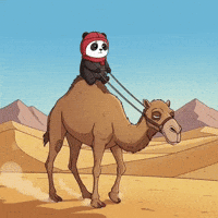 Camel Ride Desert GIF by Pandu Pandas