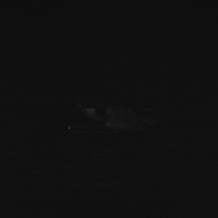 christmas santa GIF by Darkpulse
