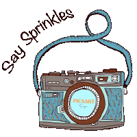 Camera Sprinkles Sticker
