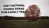 cayleehammack love friends family bff GIF