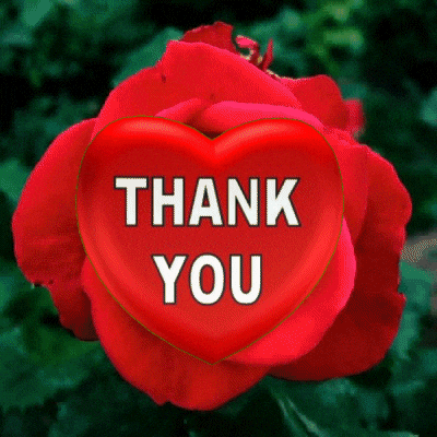 Red Rose Thank You GIF