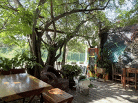 Playa Del Carmen GIF by CGTraveler - Carlos Garrido - Adventrgram