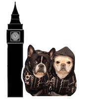 London Frenchie Bulldog Sticker by frenchiepetsupply