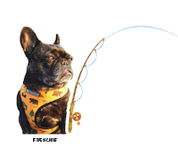 French Bulldog Sticker by frenchiepetsupply