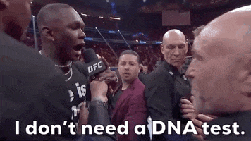 Mixed Martial Arts Sport GIF by UFC