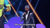 Fox GIF by The Masked Singer