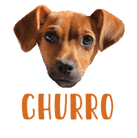 Dog Churro Sticker