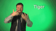 sign language tiger GIF by Sign with Robert