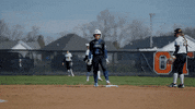 Holland Springfield Blue Devils Softball GIF by Smooth Wave