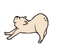Miss Sticker