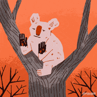 Down Under Fire GIF by Animation Domination High-Def