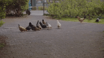 Confused Grin GIF by Glassriver Production