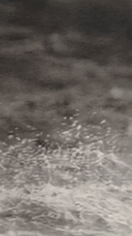 Black And White Art GIF