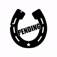 leahchambersllc pending leahchambers GIF
