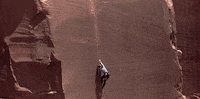 gender roles news GIF
