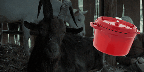 GIF by Mashable