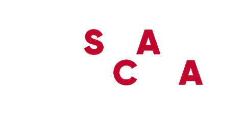 Mca Sticker by Musica con le Ali