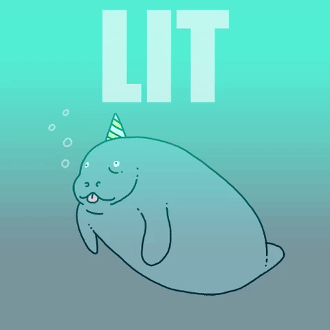 Lit