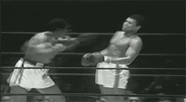 black and white boxing GIF